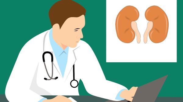 cum iti cureti rinichii in trei zile ce trebuie sa bei si sa mananci totul este natural