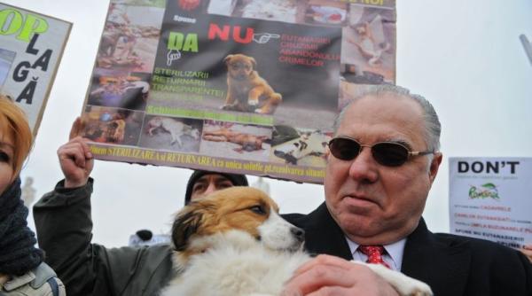 curtea de apel timisoara caini sau pisici la bloc doar cu acordul vecinilor fpam va ataca decizia bazandu se pe numeroase sentinte care au desfiintat hcl pe aceeasi tema