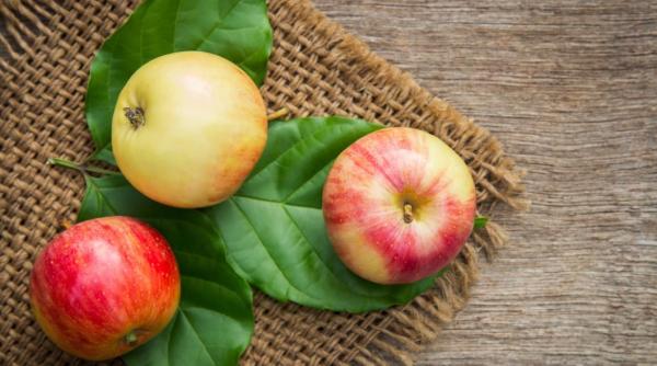 marul fructul care te ajuta sa slabesti 6 kg intr un an