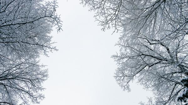 anm ianuarie o luna geroasa in care se pot inregistra si temperaturi maxime de 20 de grade celsius