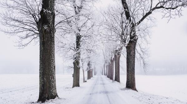 atentionare de calatorie mae bulgaria coduri portocaliu si galben de precipitatii