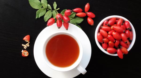 ceaiul de macese mina de aur pentru imunitate are de 50 ori mai multa vitamina c decat citricele