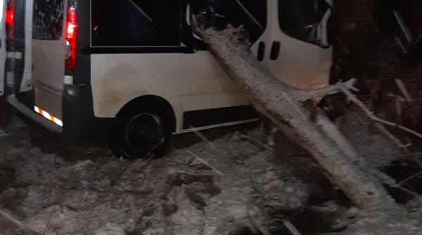 accident grav cu un microbuz in teleorman a rupt un copac