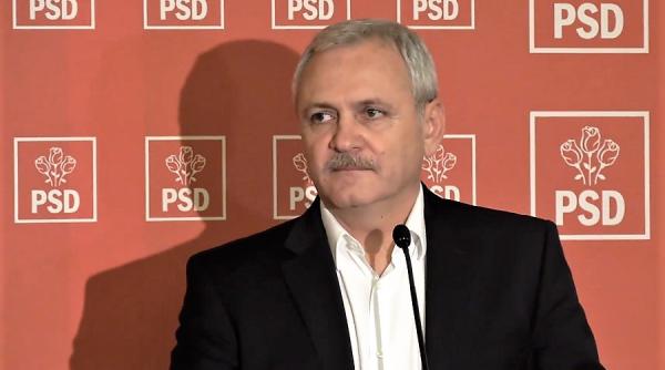 cererea de revizuire a lui liviu dragnea respinsa de judecatori