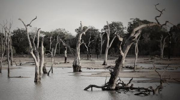 moartea lui bogdan stanoevici folosita pe modelul gardienii potopului