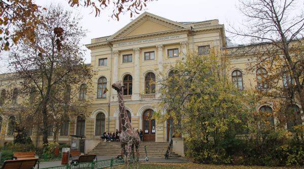 muzeul antipa ateliere online pentru copii pe zoom