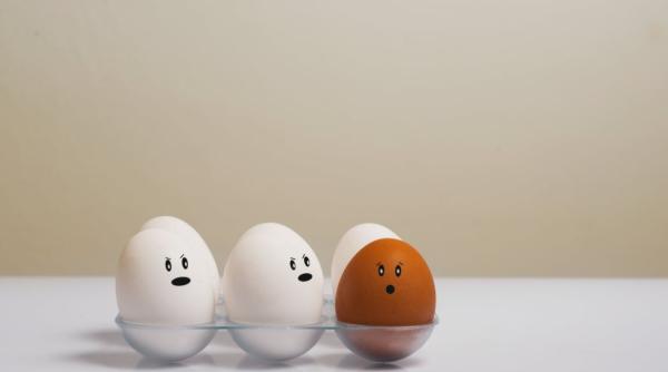 omleta cu dovlecei la cuptor reteta pas cu pas o poti pregati pentru micul dejun sau pranz