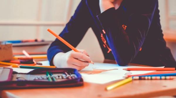 nemultumire la colegiul national vasile lucaciu baia mare din cauza desfiintarii a doua clase de a ix a