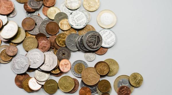 pestii de la delfinariul din constanta in pericol pentru ca oamenii arunca monede in bazin pentru noroc