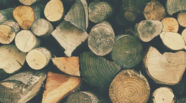 arges lemn de peste 3 200 euro vandut fara acte de o societate comerciala