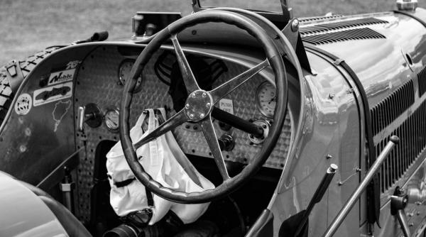 majestatea sa margareta scrisoare pentru campionul marin dumitrescu