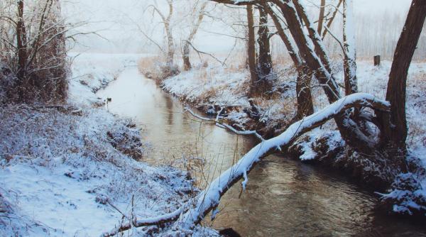 un cioban din olt a disparut fara urma dupa ce zeci de oi au fost gasite moarte intr un parau pompierii si scafandrii il cauta