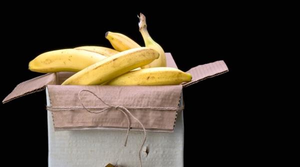 droguri de 85 milioane de euro au fost gasite in cutii de banane in portul southampton