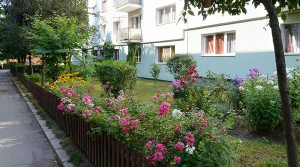 zone verzi dupa placul fiecaruia  primaria care da bani localnicilor sau asociatiilor de proprietari pentru a face lucrari