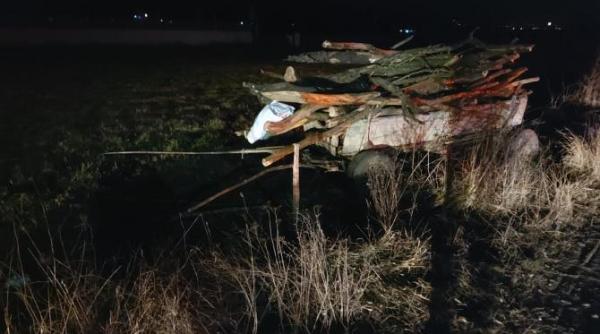 caruta lovita de masina femeie gravida transportata la spital carutasul era baut