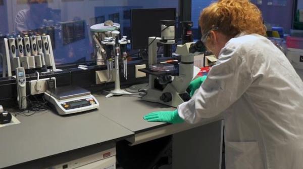 cercetatorii de la johnson johnson optimisti cu privire la rezultatele studiilor pe vaccinul covid