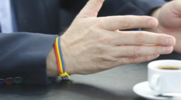 chestionar institut argument despre viitorul premier al romaniei