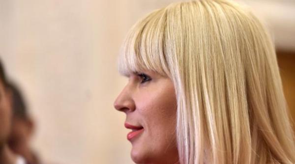 dna cere pedeapsa maxima pentru elena udrea si ioana basescu