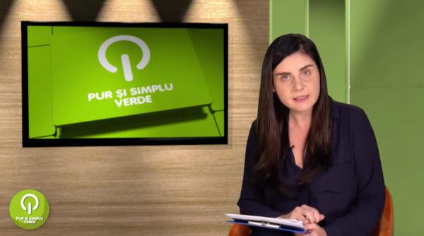 ioana petrescu atrage atentia asupra exploatarii forestiere ilegale a padurilor romanesti