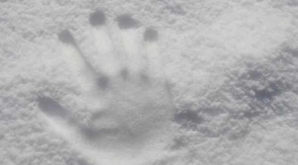 judetul tulcea paralizat zapada depaseste 2 metri 7 localitati nu au curent 147 de oameni salvati de pe drumuri