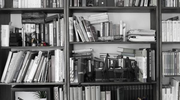 viral o britanica a surprins internetul cu jucaria de pe raftul bibliotecii intr o aparitie la bbc