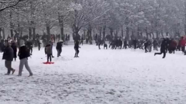 tineri sanctionati cu o amenda uriasa dupa ce au organizat o bataie in masa cu bulgari de zapada video