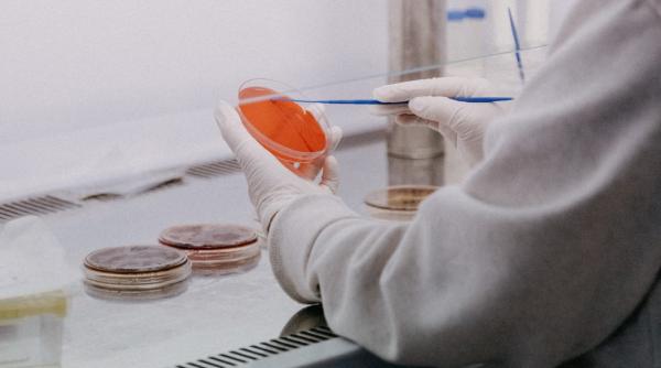 un barbat din australia uimeste lumea medicala este unic cum s a vindecat de covid desi nu avea nicio sansa este unicornul imunologic