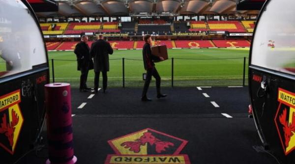 fiii lui dennis bergkamp si mauricio pochettino vor evolua la watford