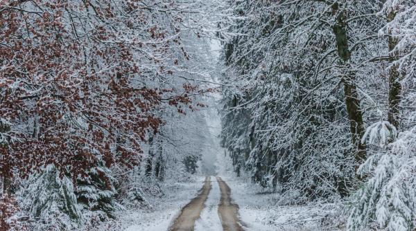 vreme de iarna in martie  elena mateescu anm  sunt posibile situatii de vreme severa