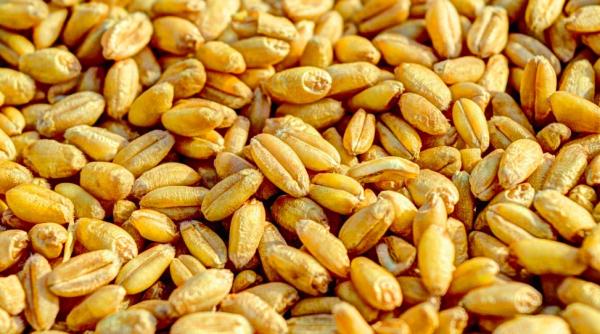 alimentatia pe baza de plante vitala pentru a conserva mediul natural inca mai este timp pentru schimbare