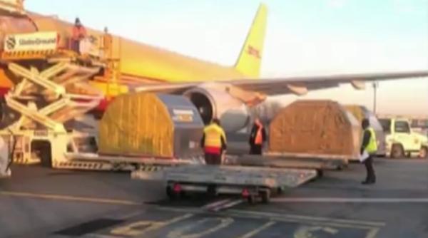 avionul cu dozele de vaccin de la moderna nu poate ateriza la craiova ce s a intamplat