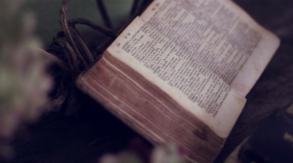 calendar crestin ortodox sarbatoare 3 februarie 2021