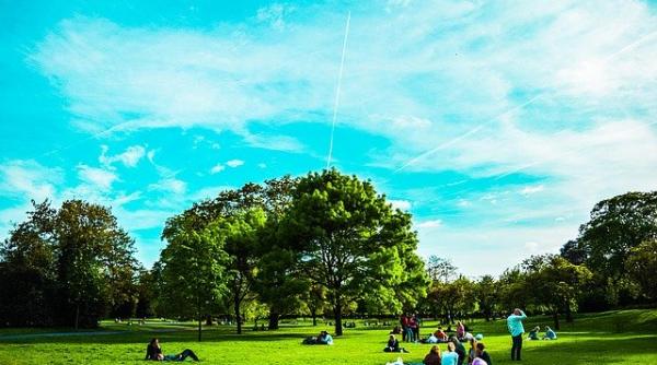 clujul va avea un parc londonez de 45 de hectare emil boc bogatie impresionanta diversitate de atmosfere