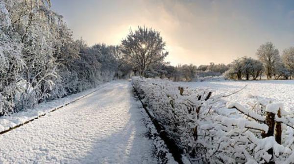 vremea in urmatoarele doua saptamani estimarile anm