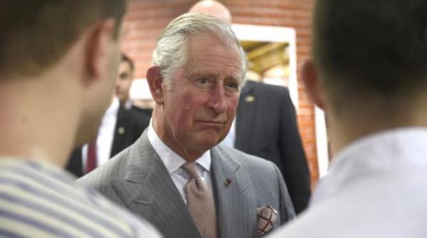 tensiuni in familia regala adevarata relatie dintre printesa diana si sora lui charles printesa anne secretele dezvaluite de expertii regali