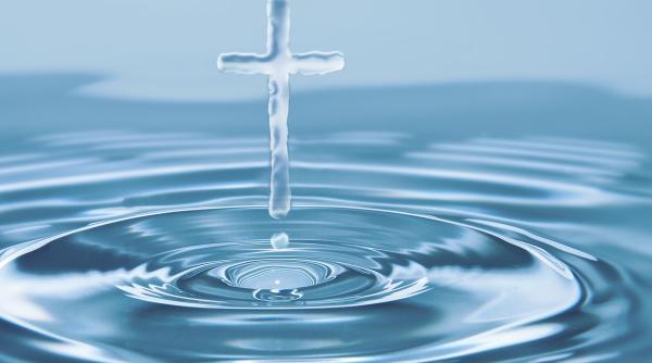 mihai traistariu sunt un pic ingrozit nu mai dorm noaptea