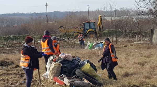 problema gunoaielor mai greu de rezolvat de cand politia locala nu se mai afla in subordinea primariilor au devenit un pericol public
