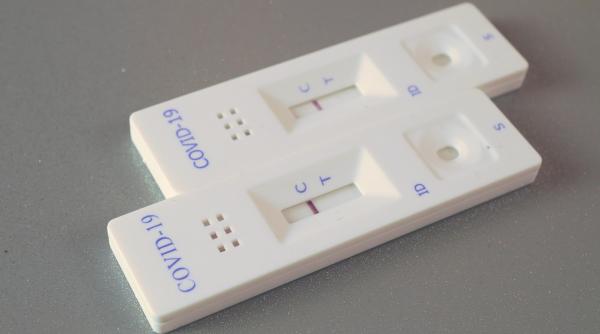 testare covid in scoli dps platforma pentru raportarea cazurilor destinata directorilor document