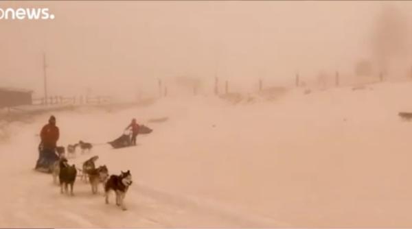 video zapada portocalie in italia