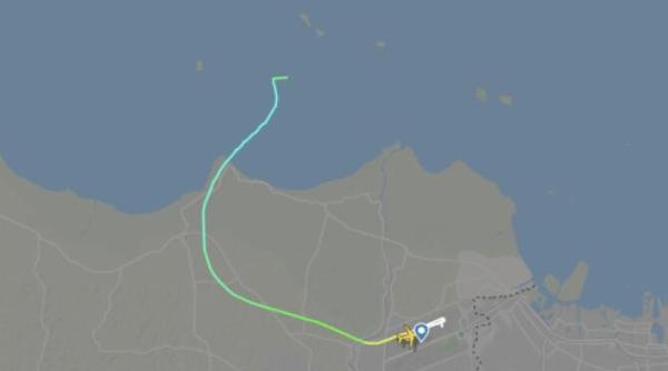 de ce s a prabusit avionul de pasageri din indonezia raport investigare pilotul cezar osiceanu a plonjat efectiv cu o viteza extrem de mare in picaj abrupt