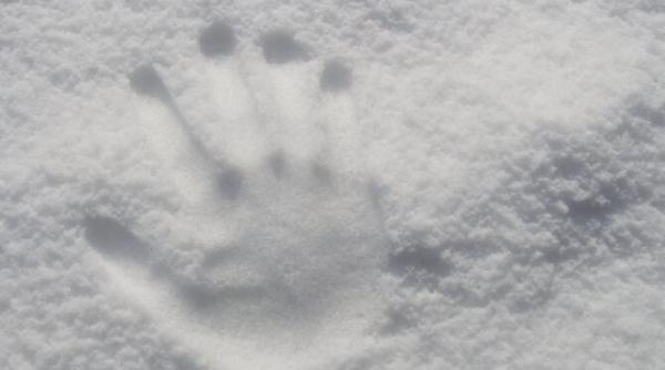 ninsoare si viscol trenuri afectate informatii de ultima ora