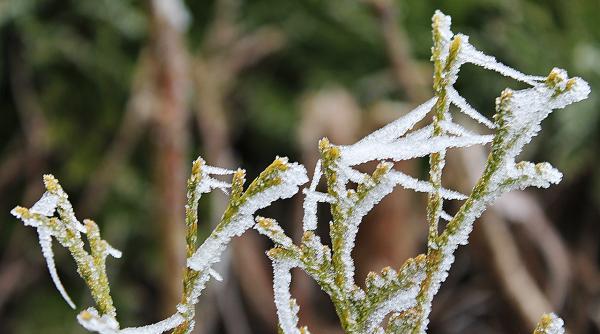 vremea botosani 34 grade indicele de racire la ora 6 la stanca stefanesti