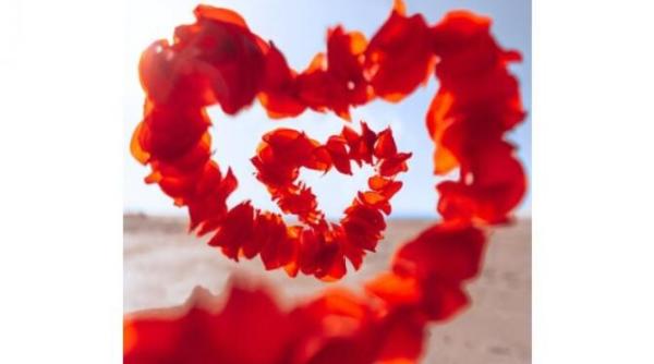 ro vaccinare a gasit cadoul perfect de valentine s day