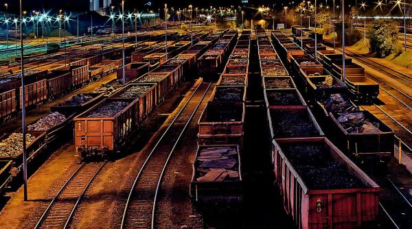 doi libieni ascunsi sub vagonul unui tren marfar gasiti de politistii de frontiera