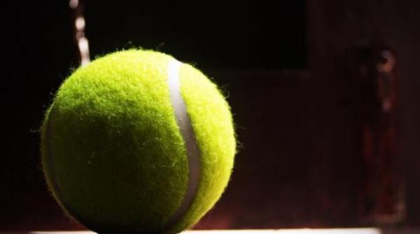 djokovic calificat in semifinala australian open va intalni revelatia turneului