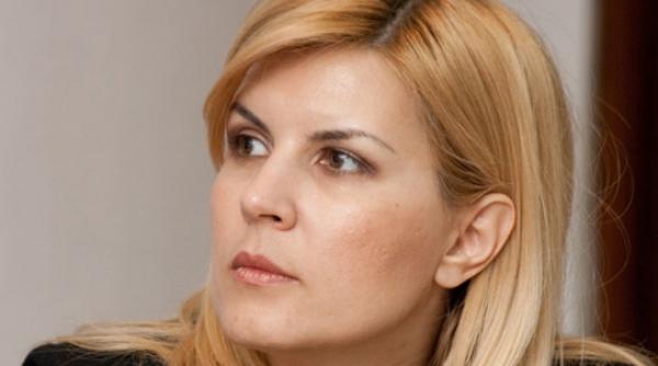 elena udrea si ioana basescu decizia cab in dosarul finantarii campaniei lui traian basescu