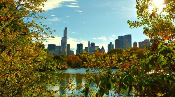procurorii au renuntat la procesul impotriva lui amy cooper femeia care a mintit politia ca este amenintata de un barbat de culoare