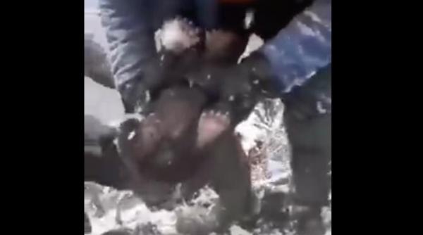 acestia sunt barbarii cei care distrug tot pui de urs scosi din barlog si aruncati in zapada pentru amuzament video