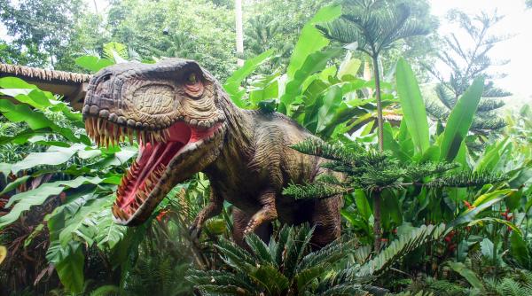 cum au disparut de fapt dinozaurii fizicianul cristian presura rupe tacerea e surprinzator de acolo a venit dezastrul