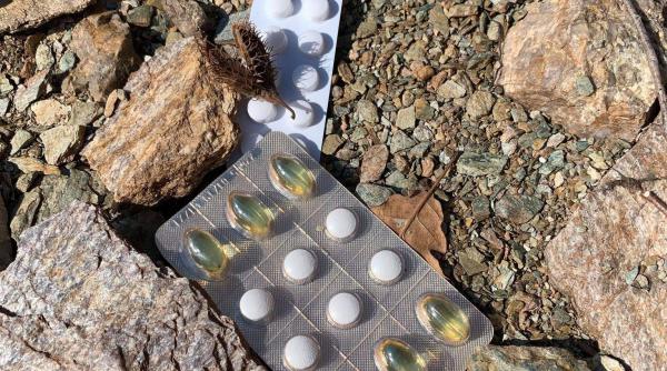 antibiotice analgezice si anticonceptionale expirate pe lacul tarnita si pe plaje si versantul e plin foto